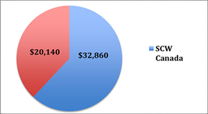 pie-chart-the-skewed-school